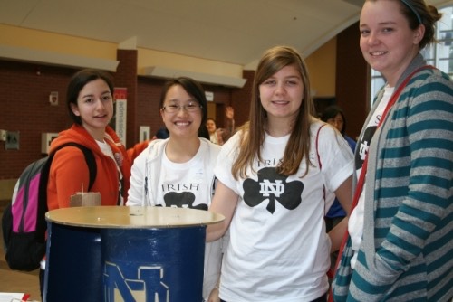 IMG_5213.img_assist_custom-500x334