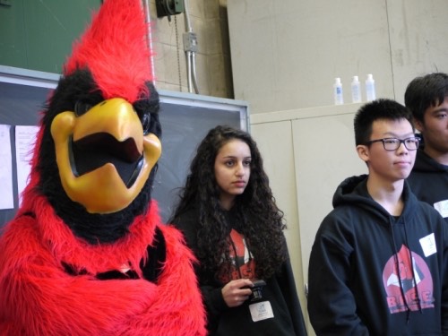 P1020930.img_assist_custom-500x375