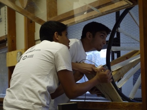 P1020989.img_assist_custom-500x375